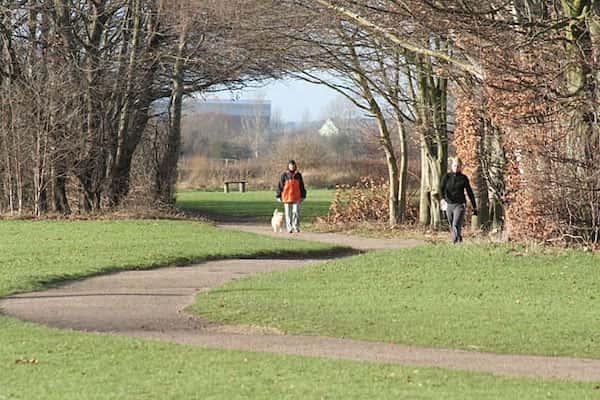 Community Buggy Walk at Colwick Country Park