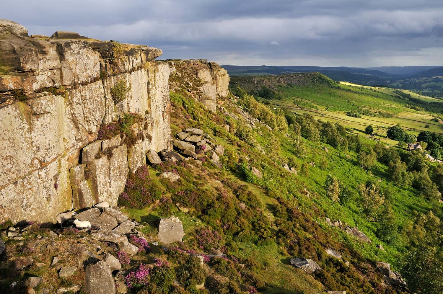 Peak Raid Race 3 Eastern Moors