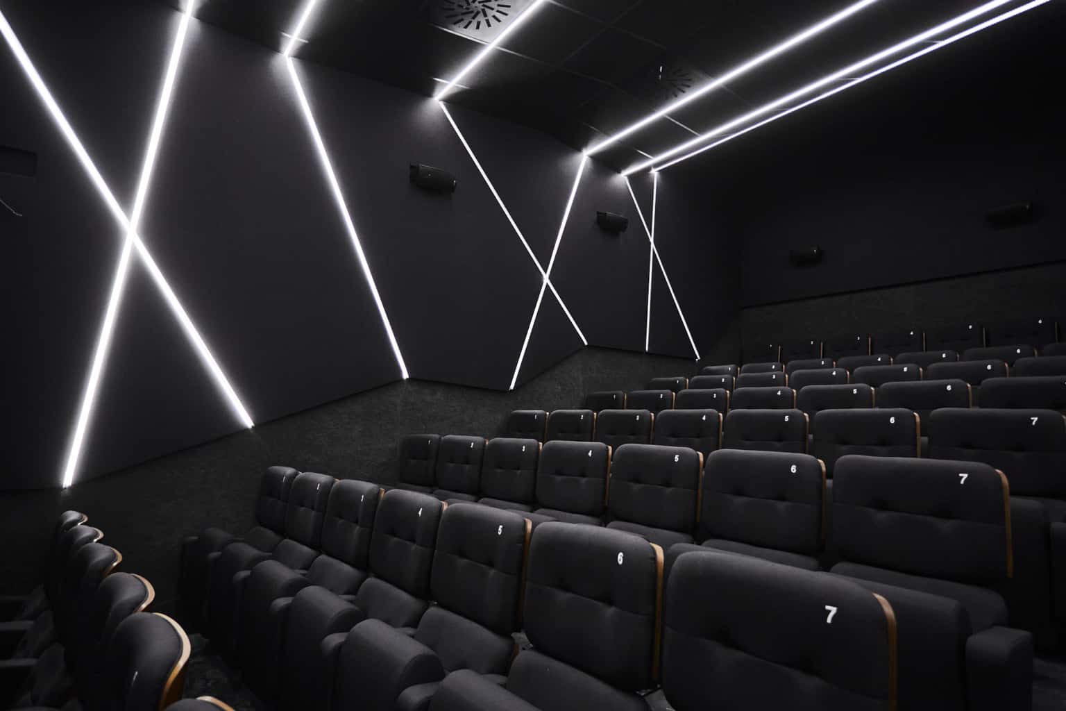 Cines Embajadores Foncalada