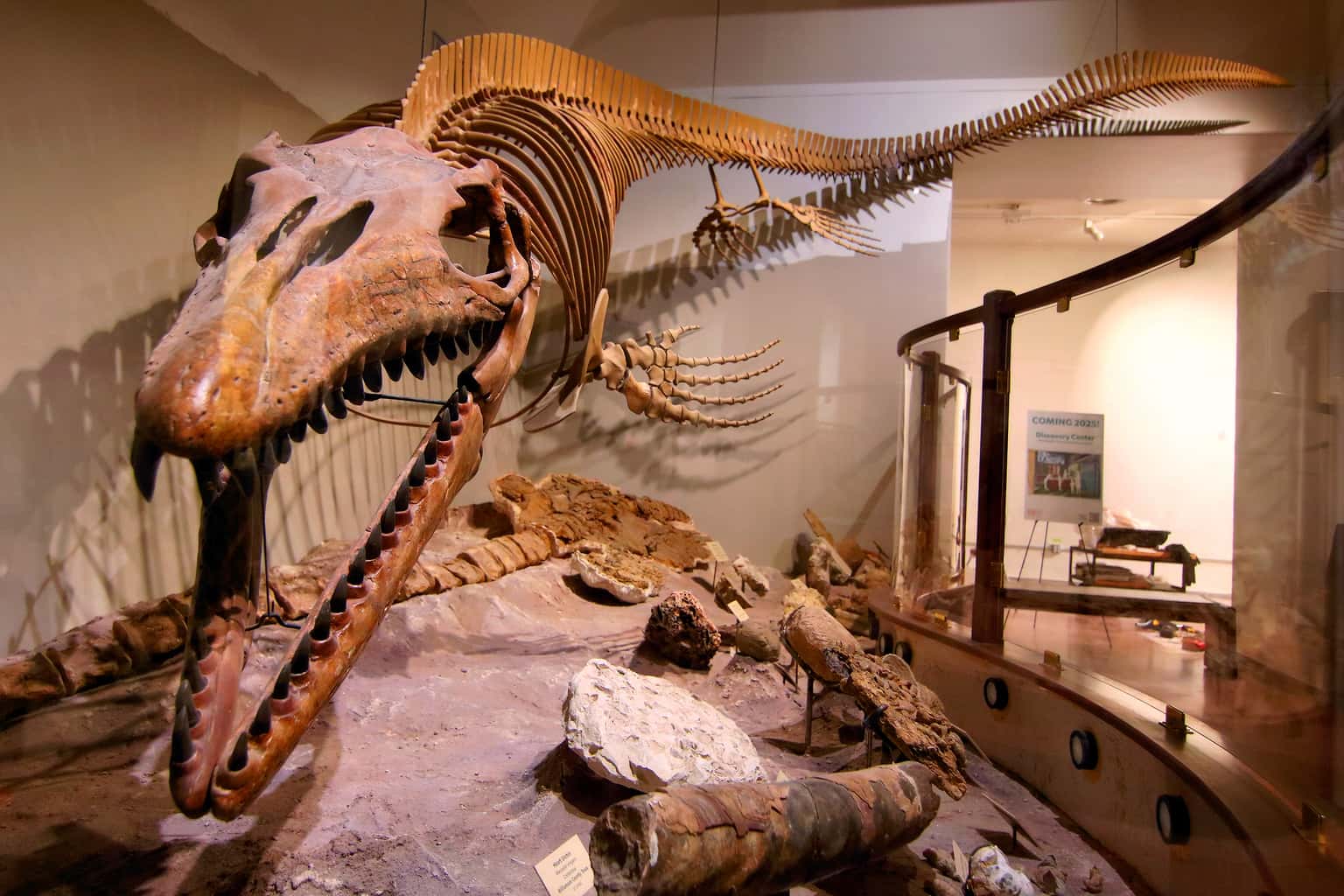 Free Fourth Sunday at Texas Science & Natural History Museum