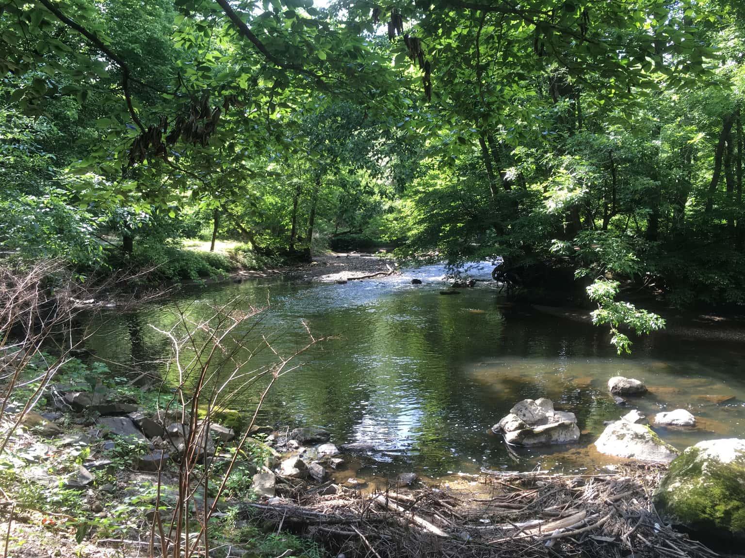 Fall Migration Bird Walk in Pennypack Park