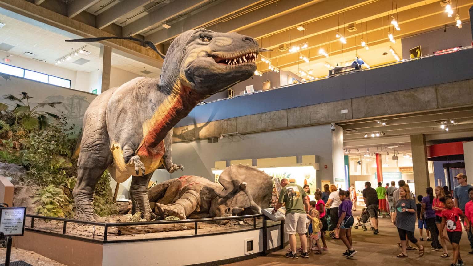 St. Louis Prehistoric Life Show