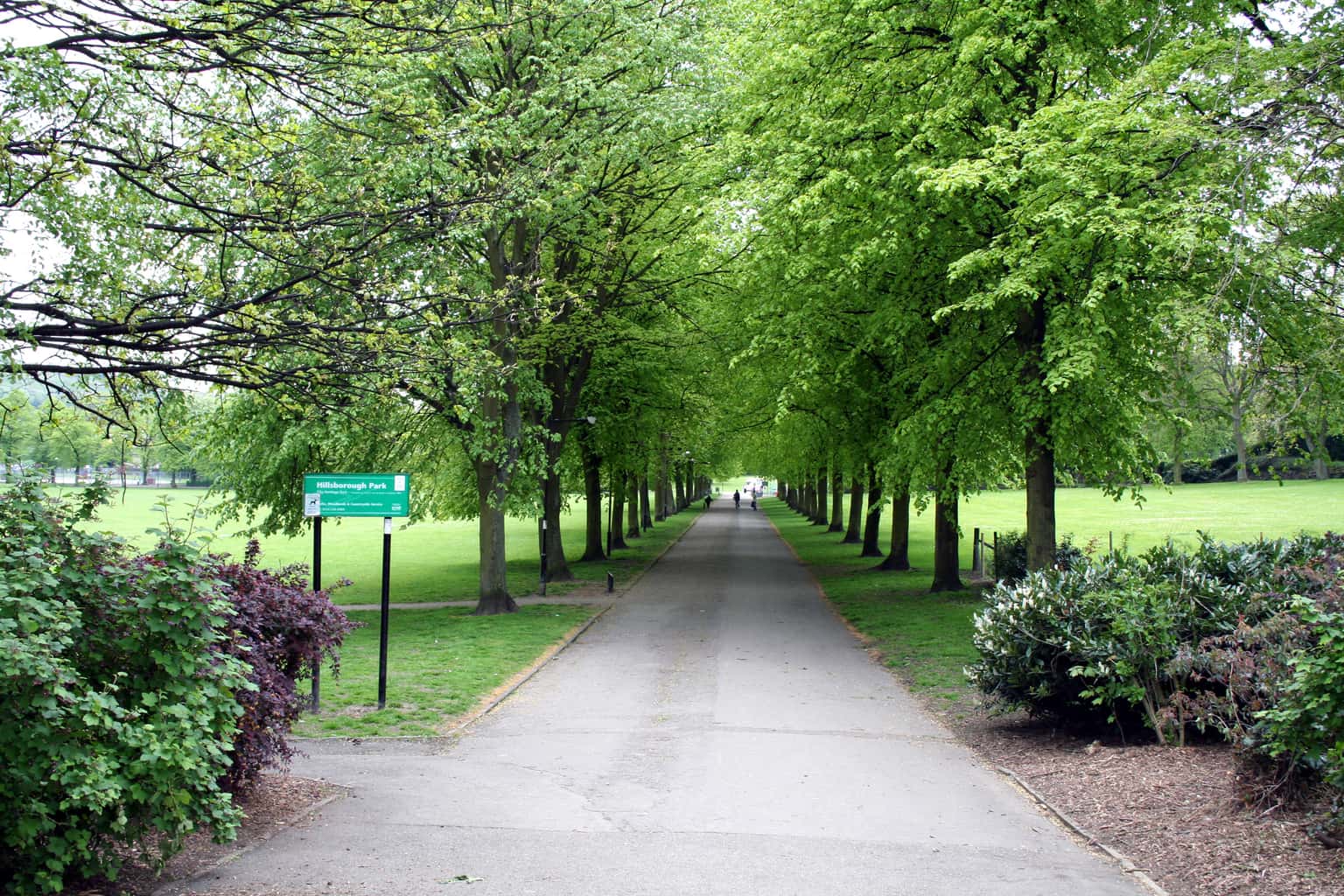 Tramlines