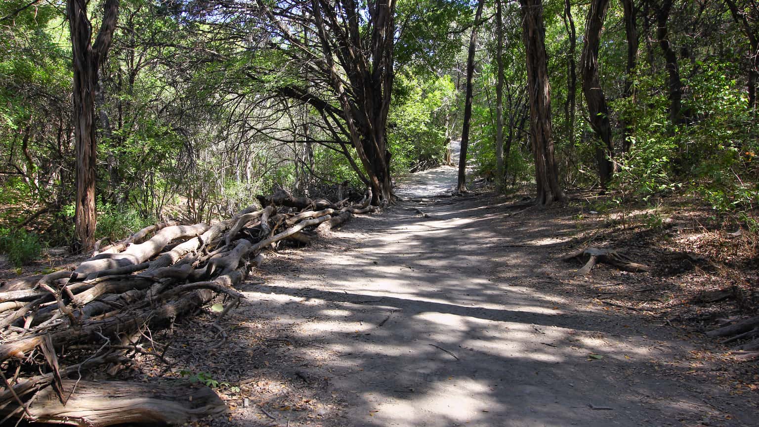 Restoration Reset: Park Stewardship Series at Walnut Creek Metro Park