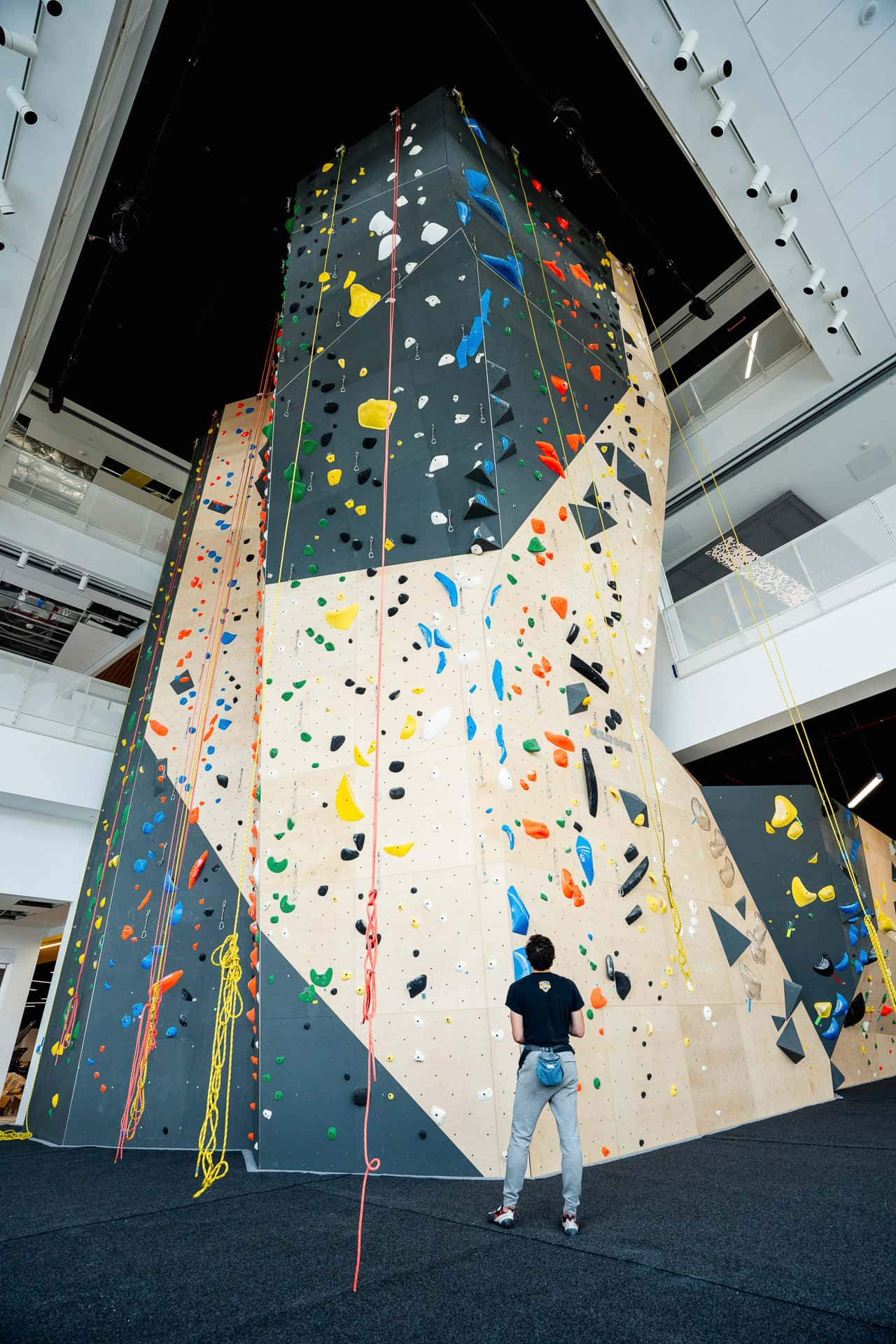 Recreation and Wellness Center