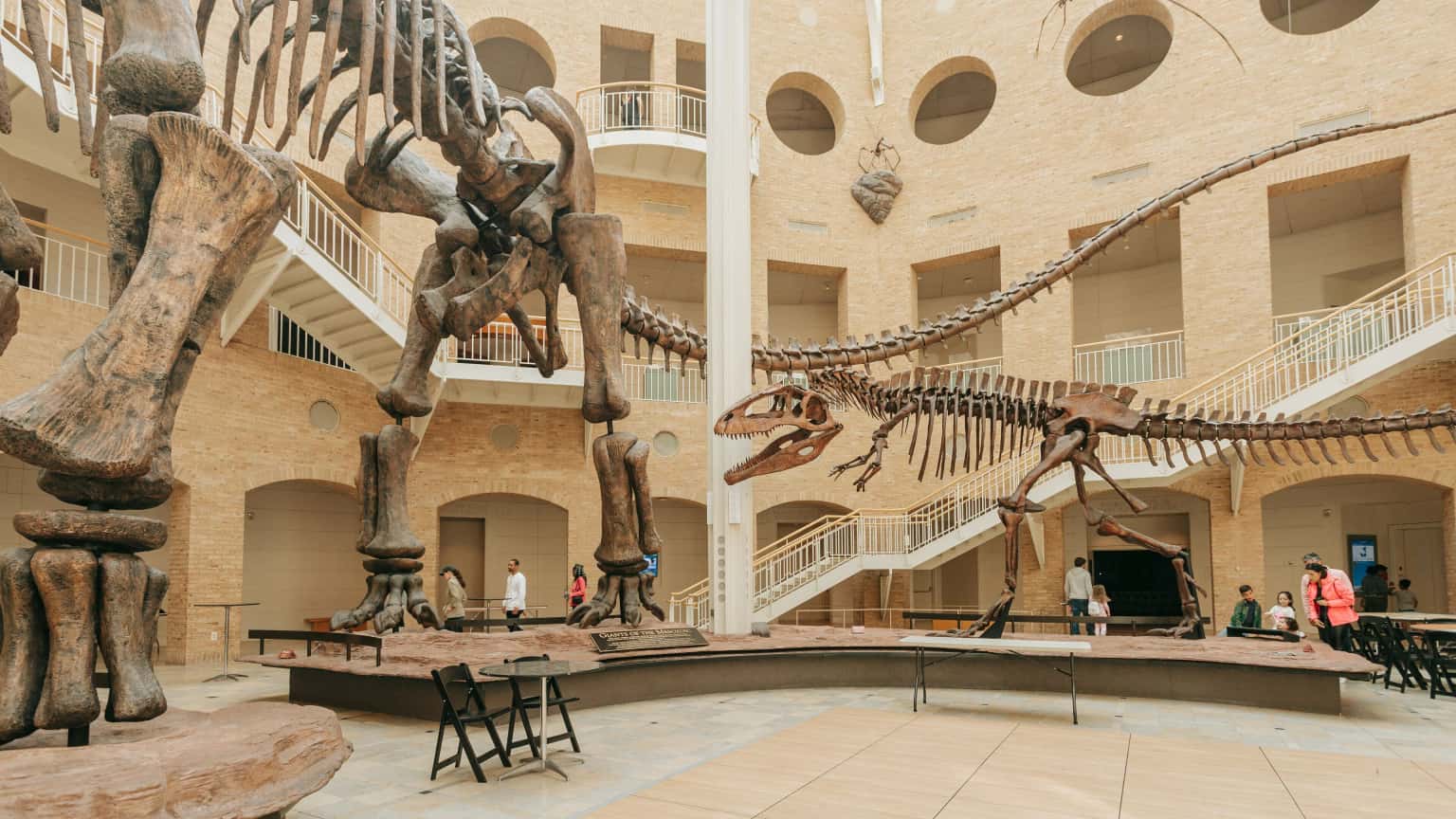 Exhibitions at Fernbank Museum of Natural History
