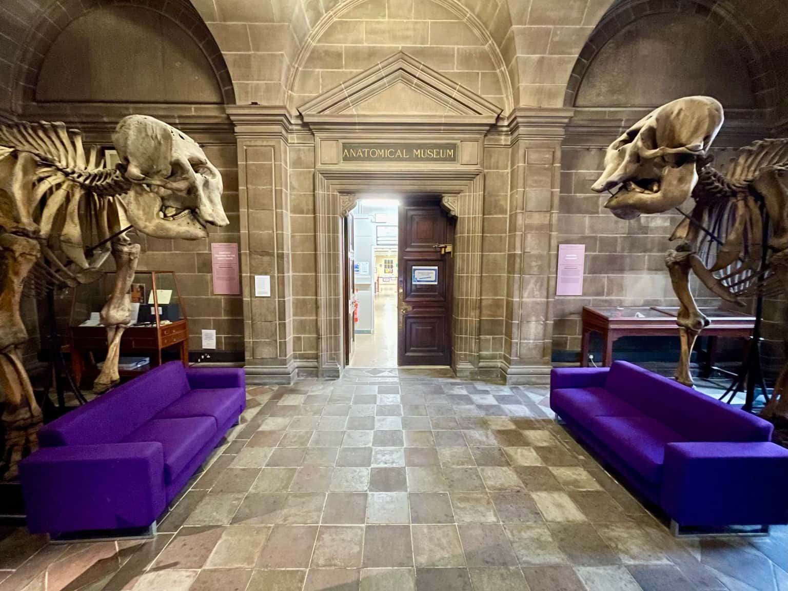 Fresh History: Objects recently added to the City's collection