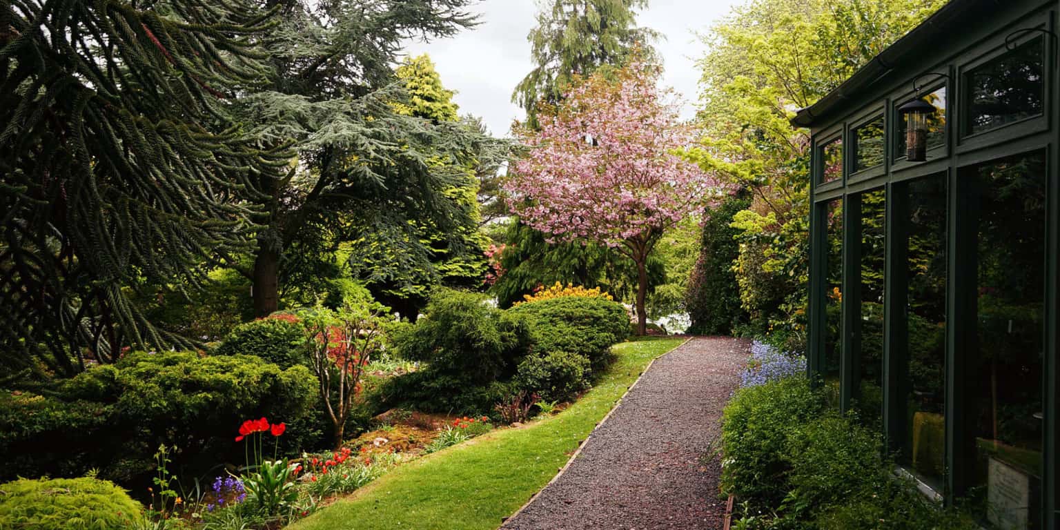 Dr Neil's Garden