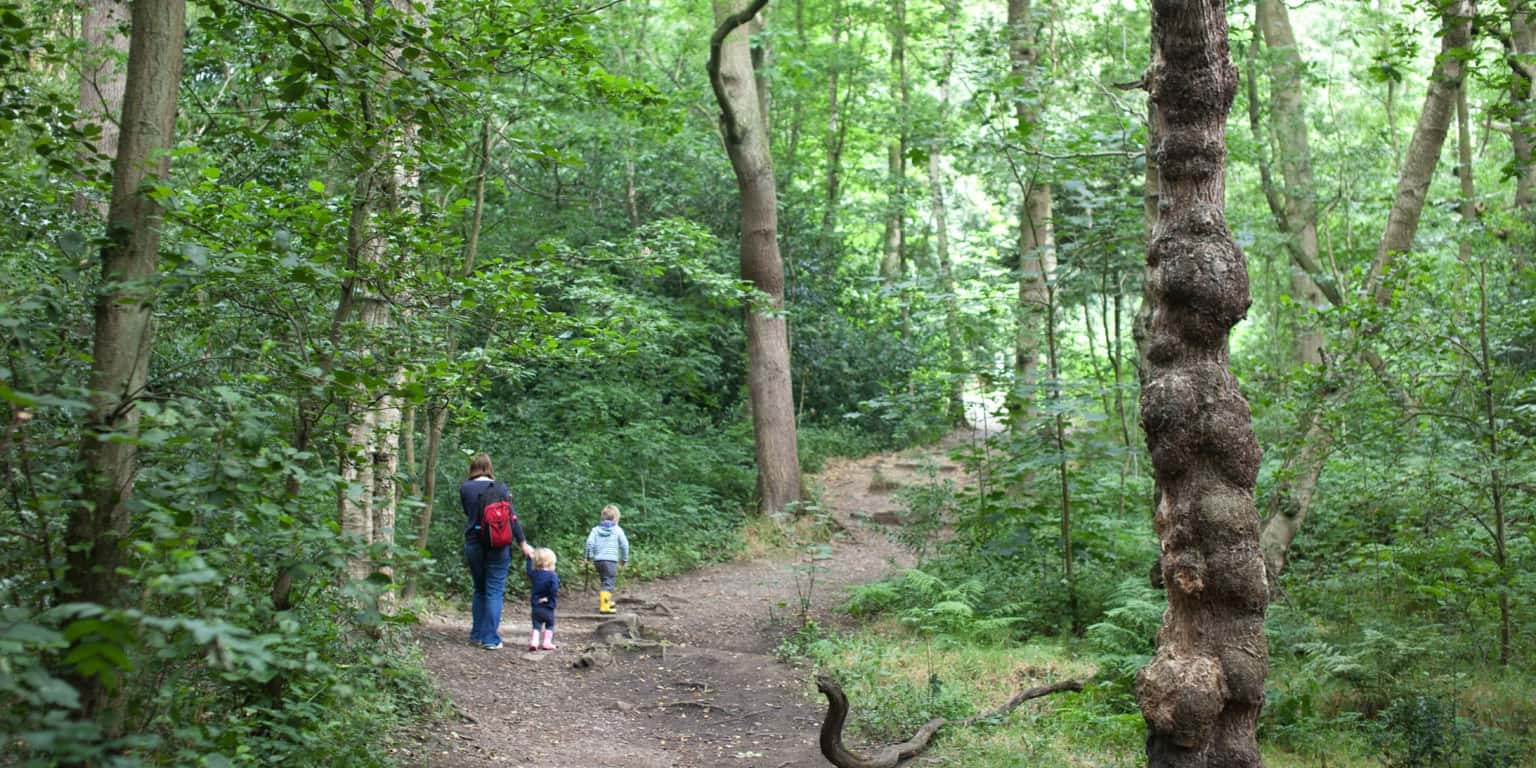 Sustainability Netwalking: December