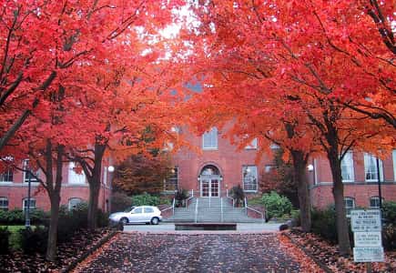 Queen Anne: Evolution of an Urban Neighborhood