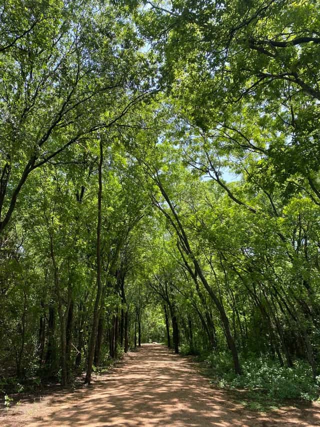 Gus Garcia District Park