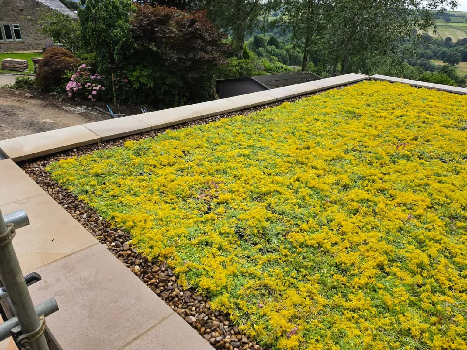 Small Plants