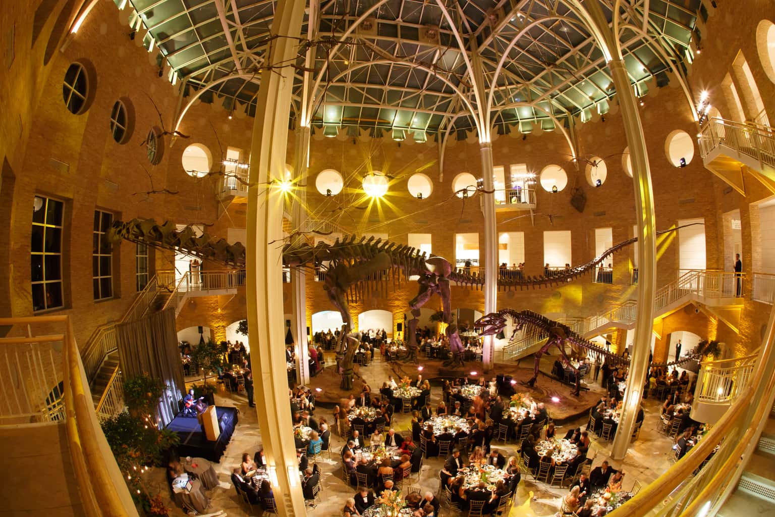 Fernbank Museum of Natural History