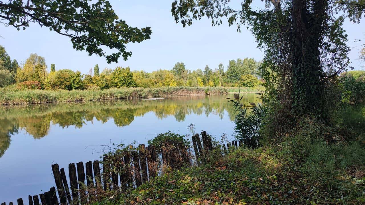 Parco del Loto
