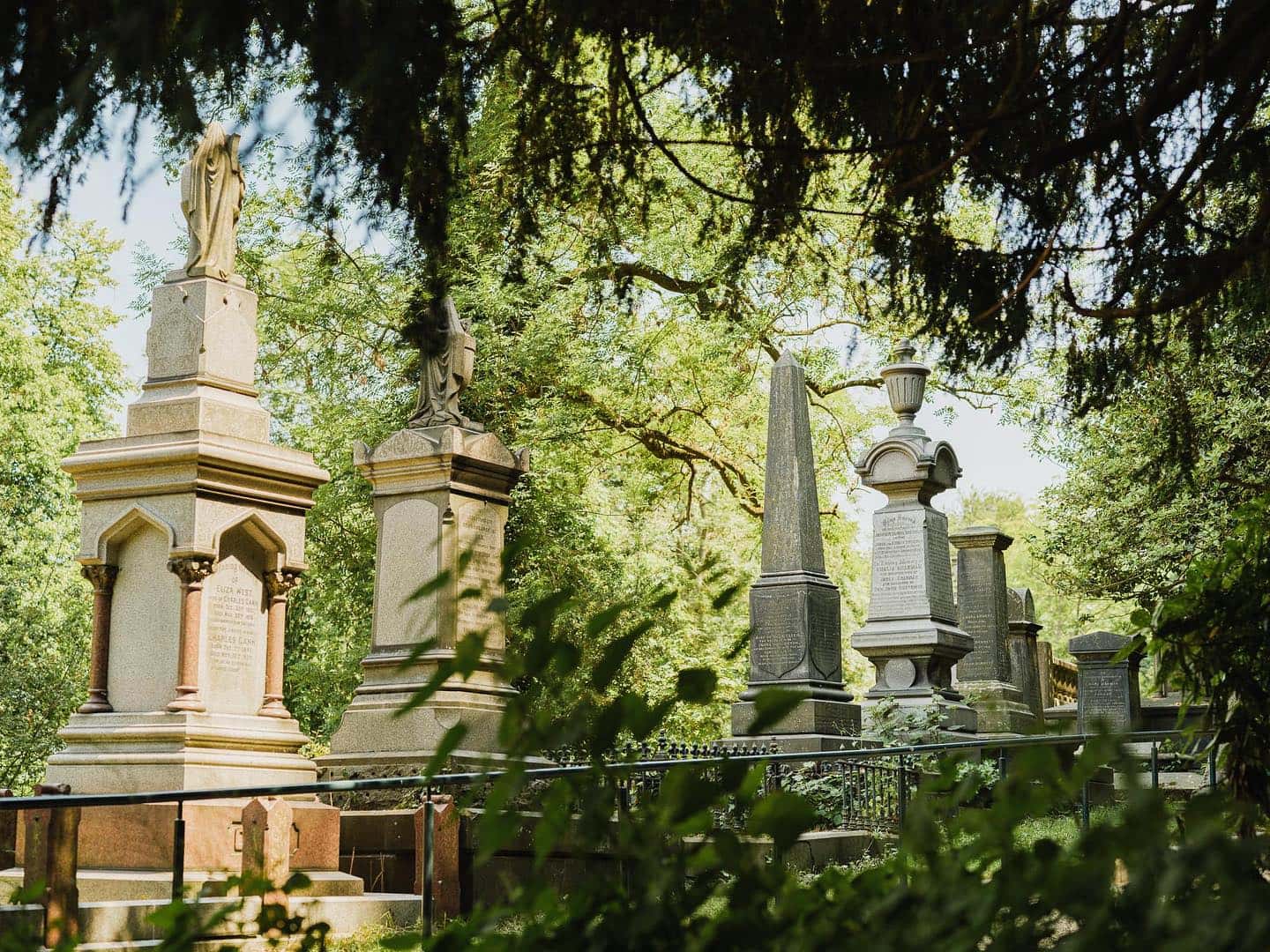 Cemetery Fungi Walk