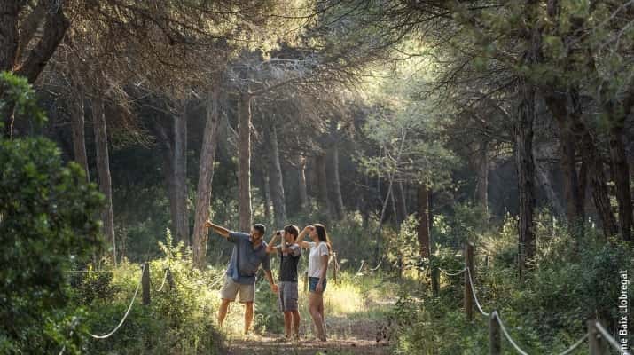 Visita guiada a la Pineda de Can Camins