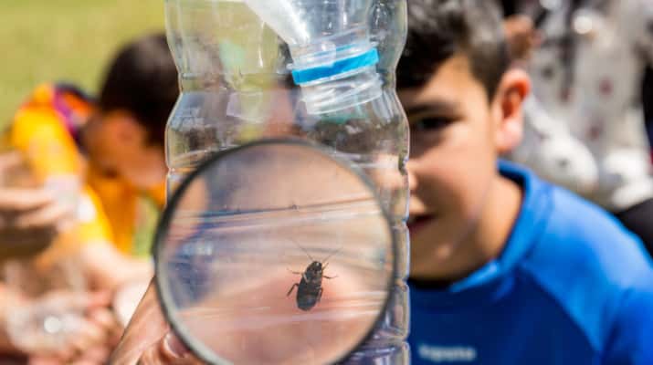 Jugateca del parc Nou: Explora el parc