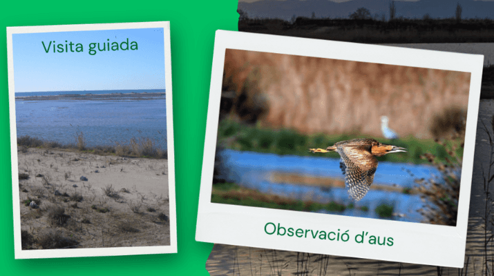 Dia Mundial dels ocells als espais naturals del Riu