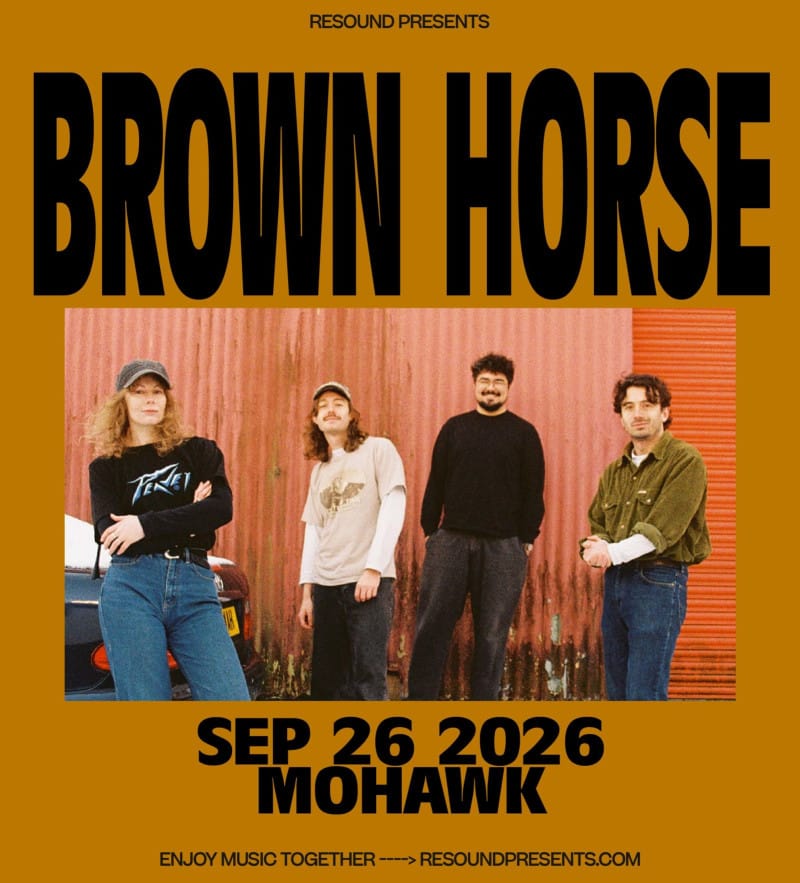 Brown Horse