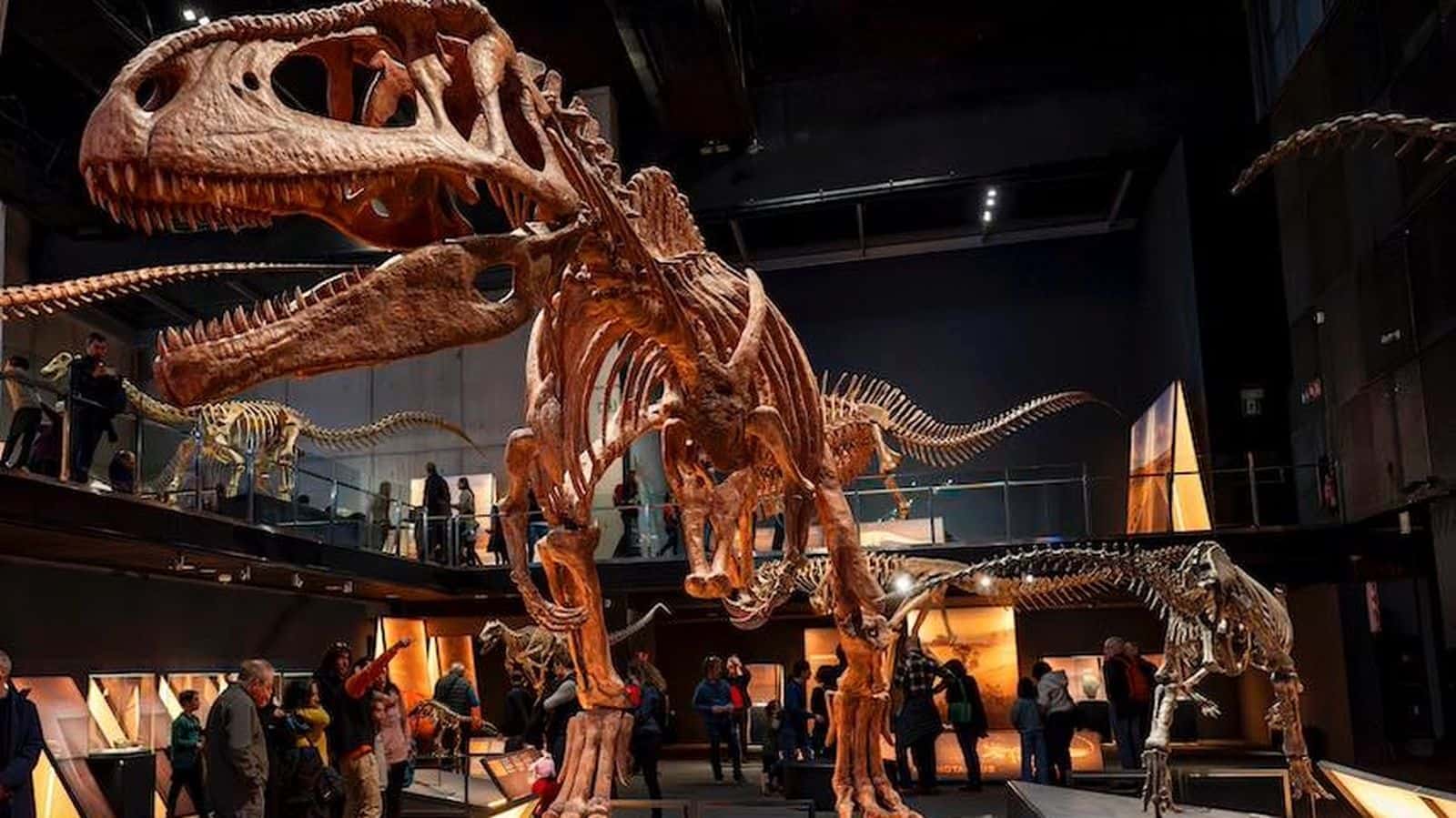 Visita en Familia: Tras las huellas de Patagotitán