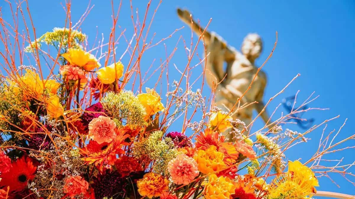 Concurso de decoración floral de escaparates - Zaragoza Florece 2026