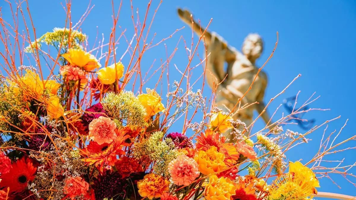 Concurso de decoración floral de escaparates - Zaragoza Florece 2026