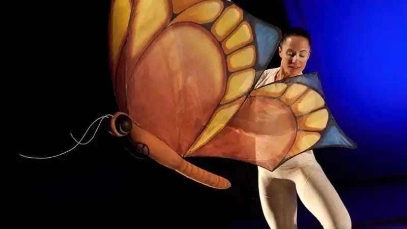 Rrrrrr. Historia de una oruga