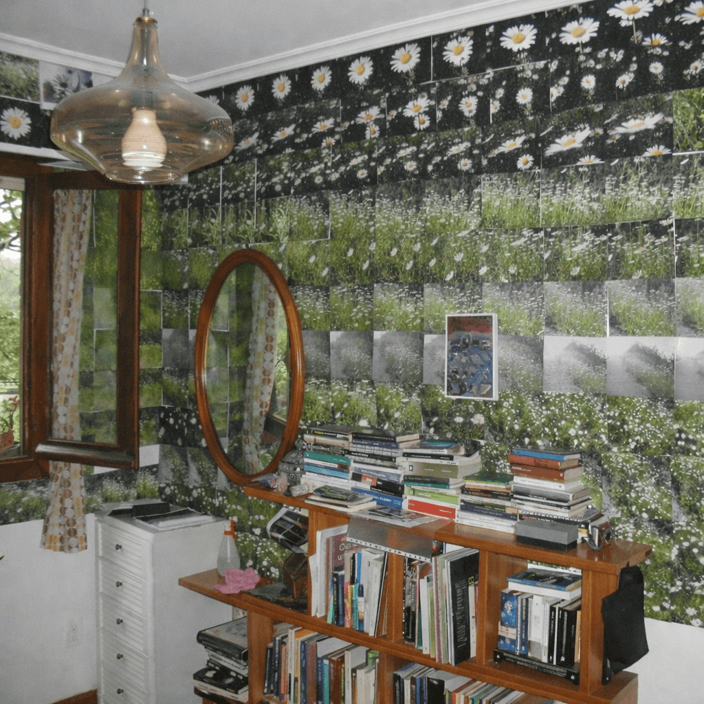 Visita guiada: Strong back, soft front