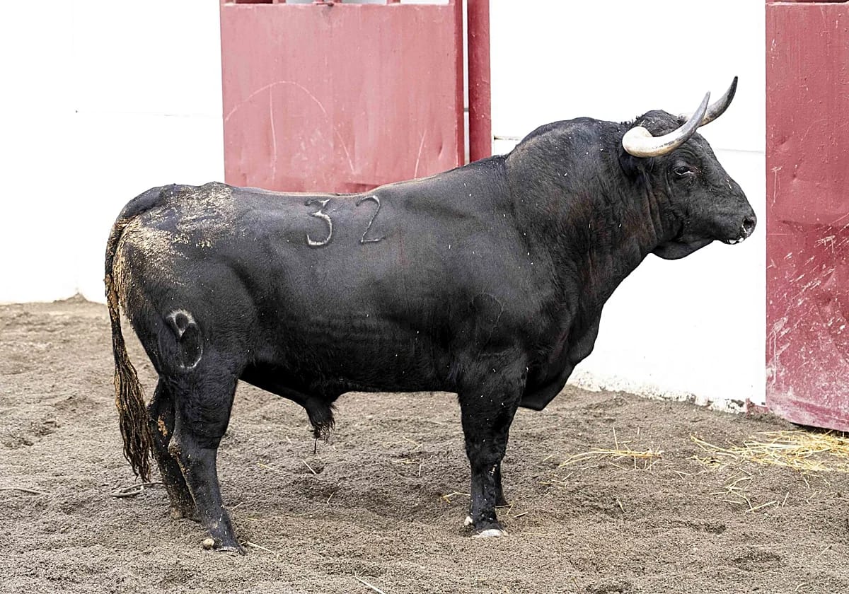 Séptima corrida de abono - lote completo de Victoriano del Río