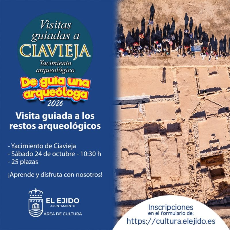 Visitas guiadas al Yacimiento de Ciavieja - De guía una arqueóloga