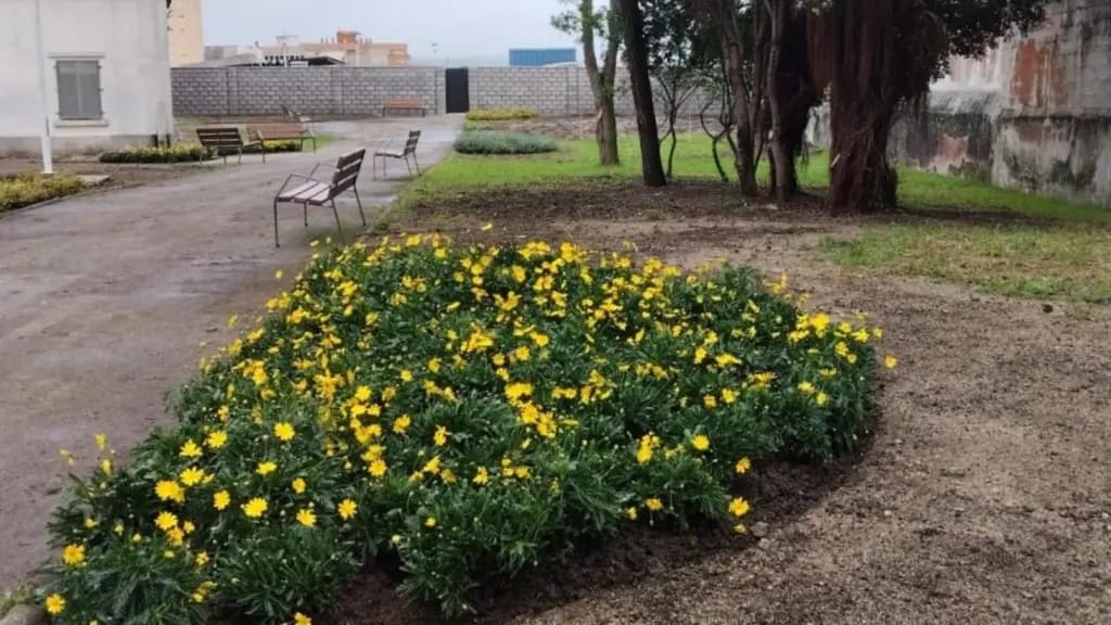 Apertura del parque del Observatorio