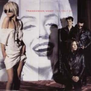Transvision Vamp