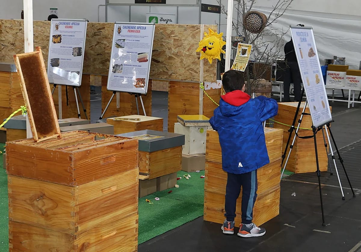 VII Feria Apícola de Castilla y León