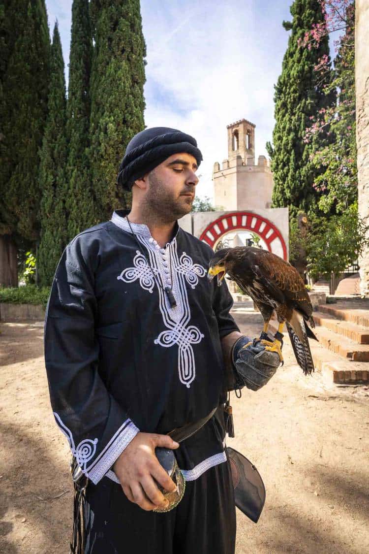 Exhibiciones de Cetrería en el Alcazaba Festival