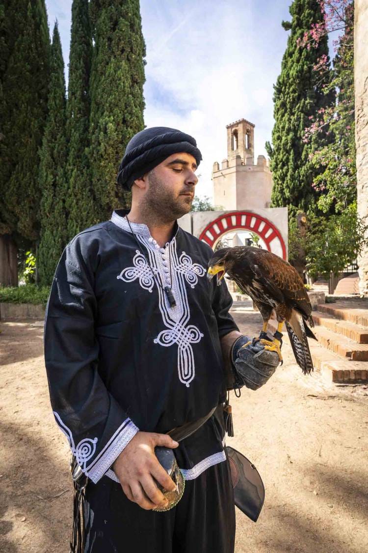 Exhibiciones de Cetrería en el Alcazaba Festival