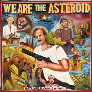 We are the asteroid