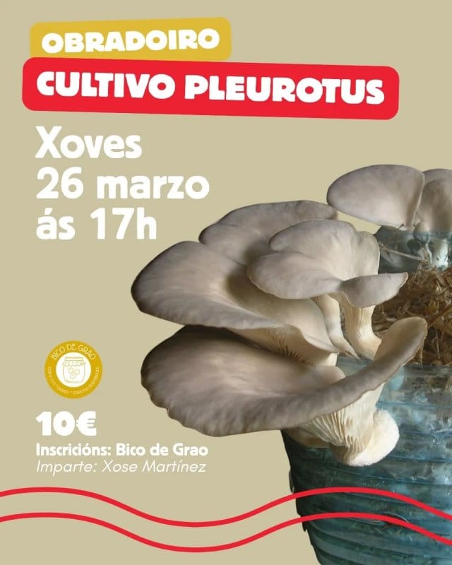 Obradoiro: Cultivo Pleurotus
