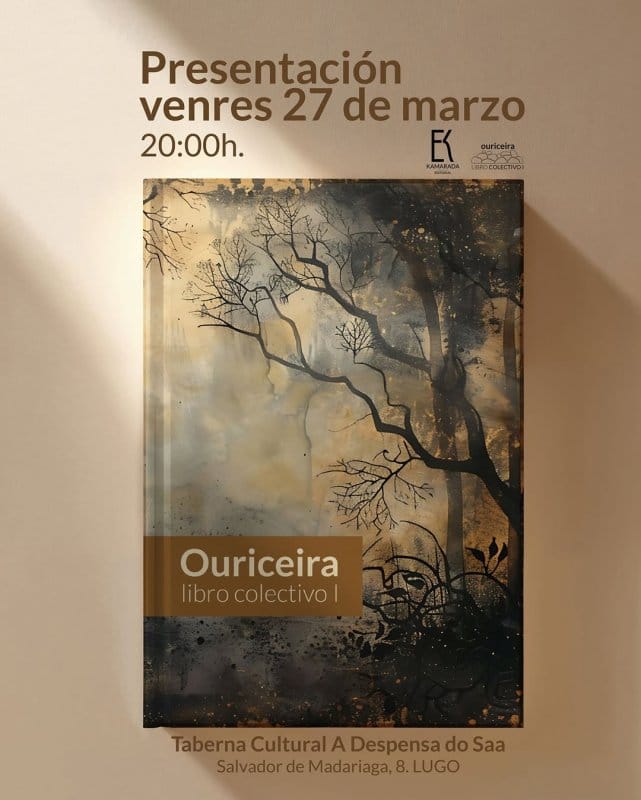 Presentaci贸n do Libro Colectivo 'Ouriceira'