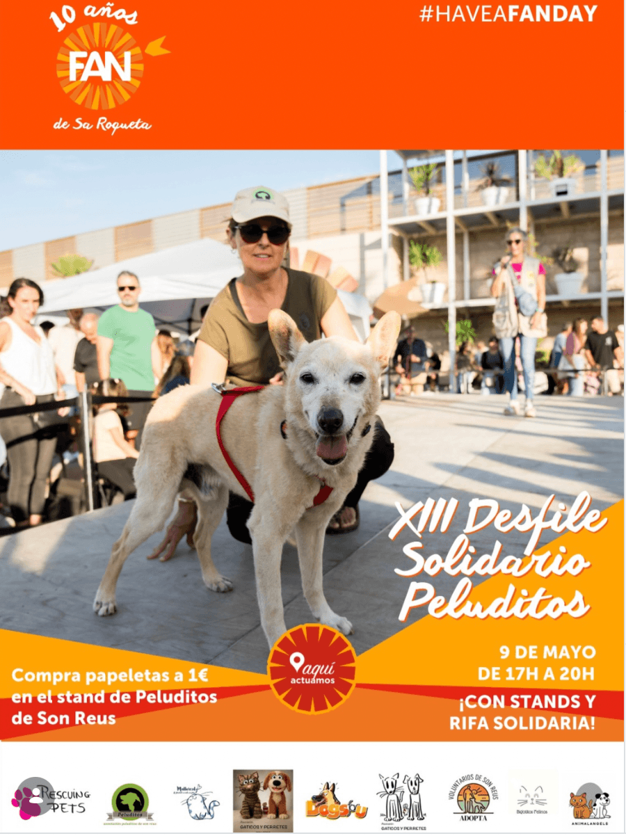 XIII Desfile Solidario Peluditos