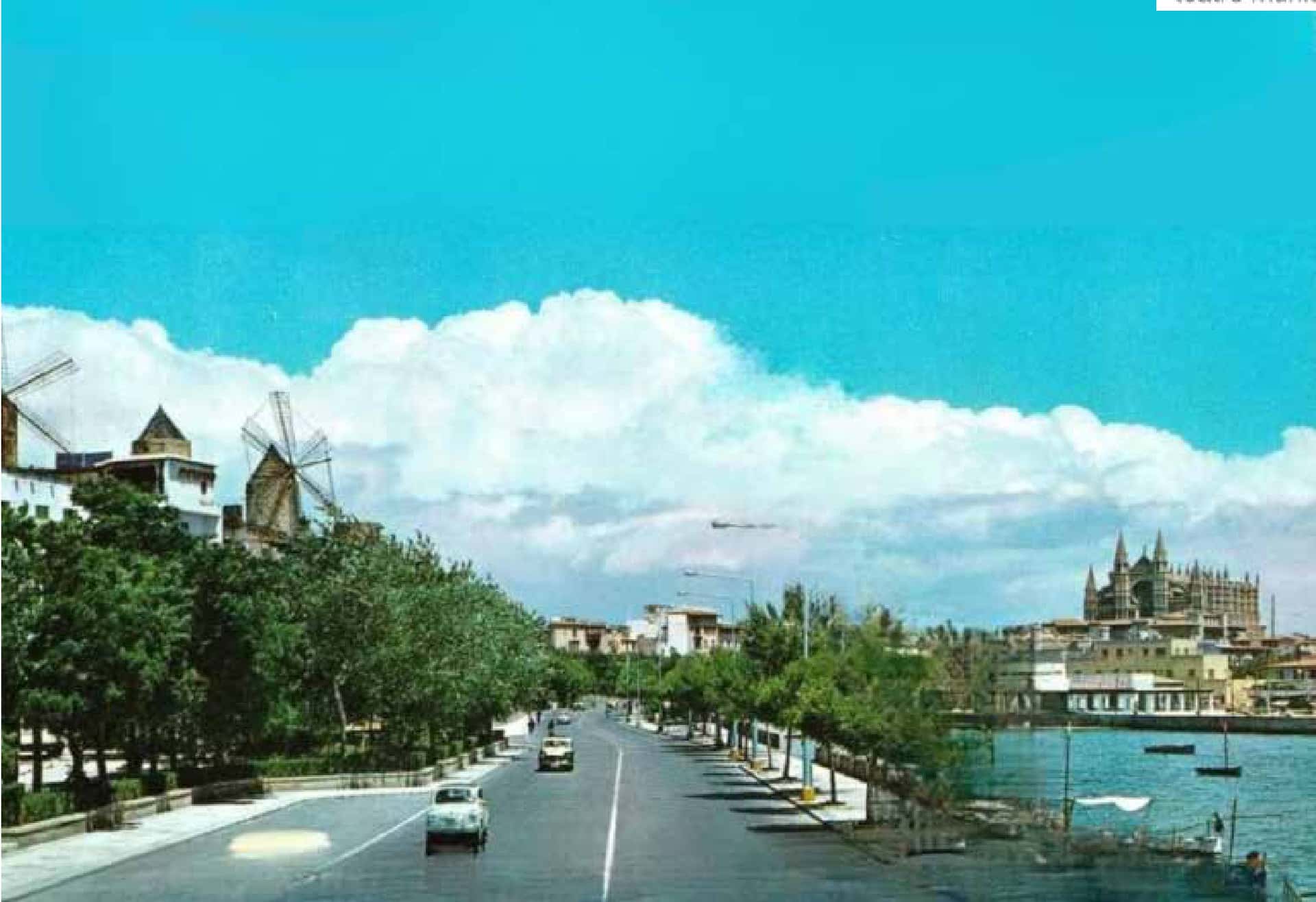 Crònica d'un mig estiu - La Fornal d'Espectacles