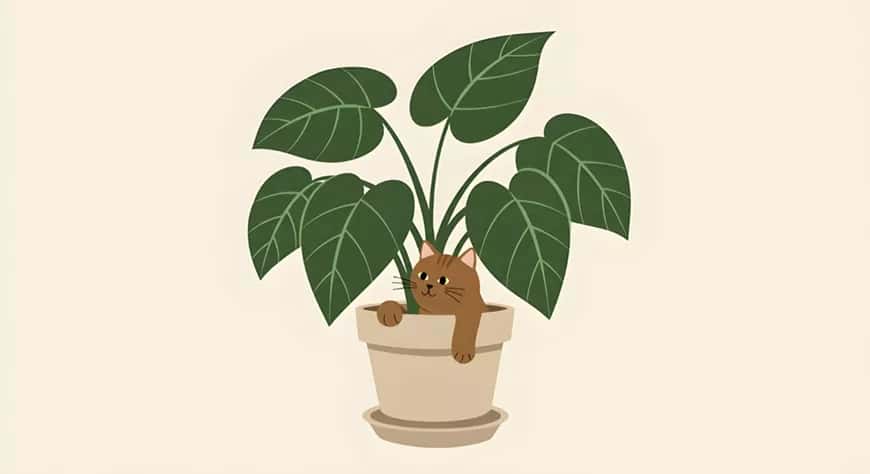 Plantmania Expo