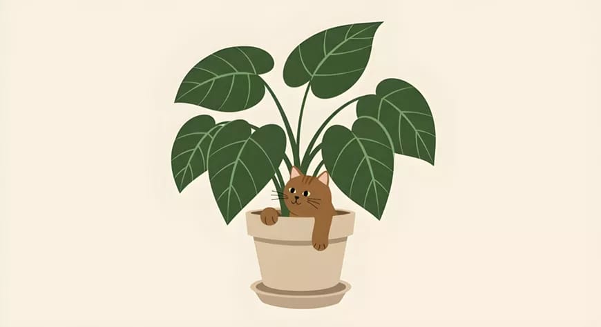 Plantmania Expo