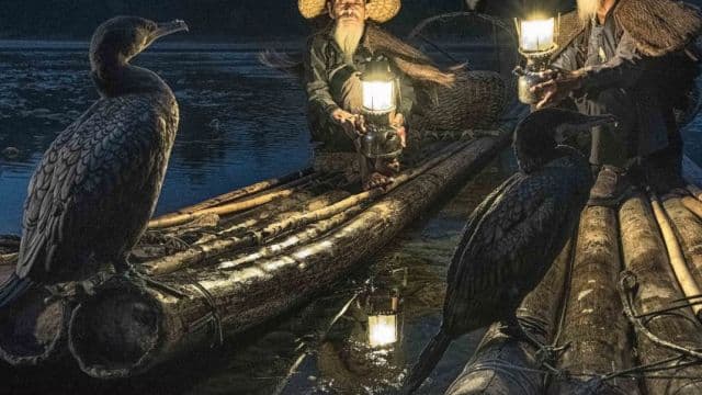 Proyección de una Película sorpresa - Cormorán Film Fest 2025