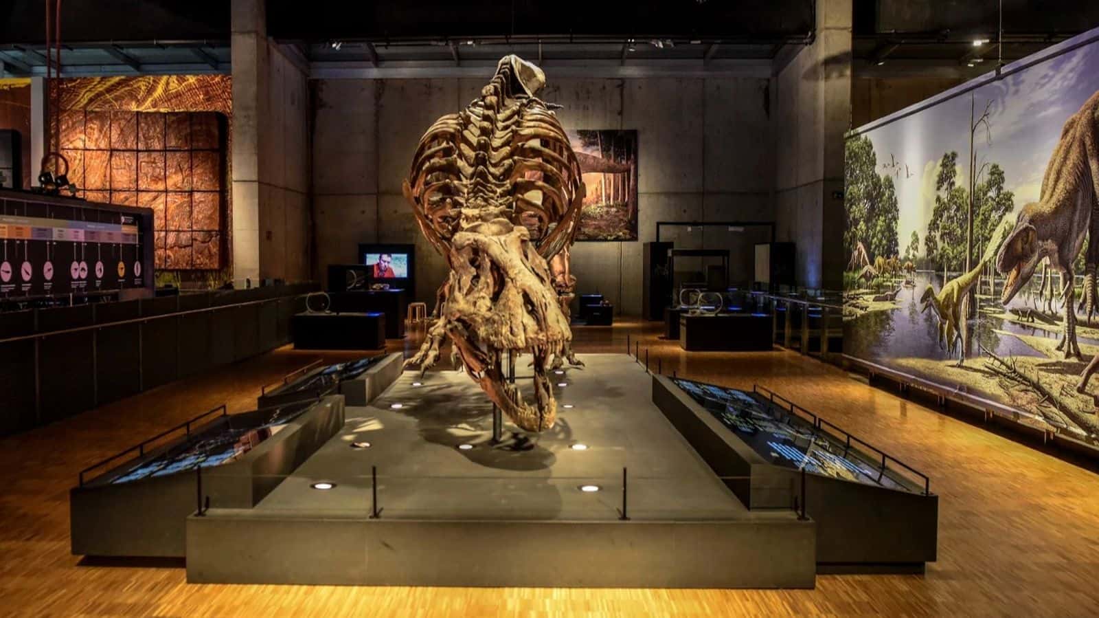 Noche de los Museos en CaixaForum Sevilla