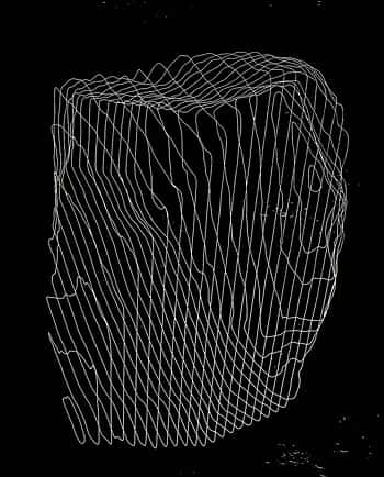 The Sculptor's Imprint