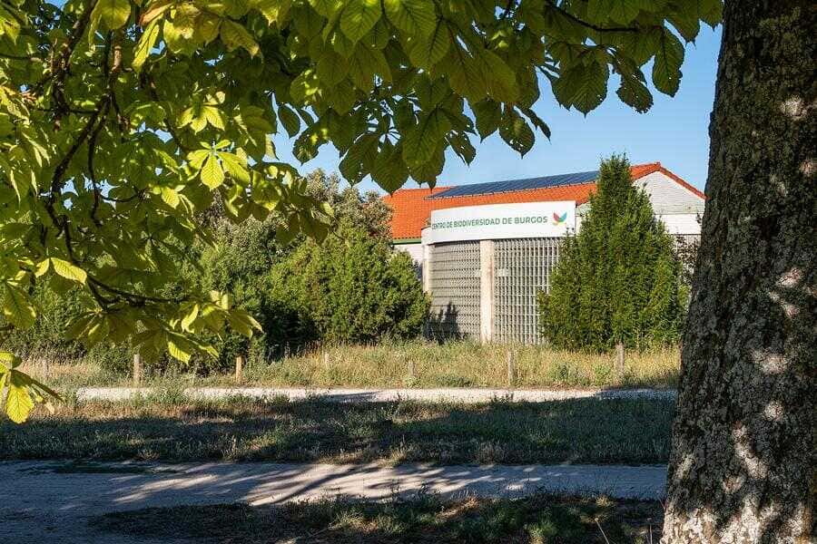 Visita guiada al Centro de Biodiversidad