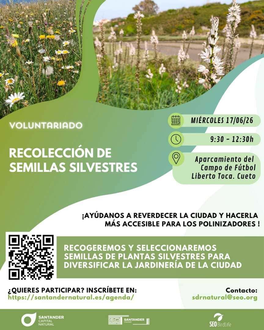 Ayuda a asilvestrar los espacios verdes de la ciudad