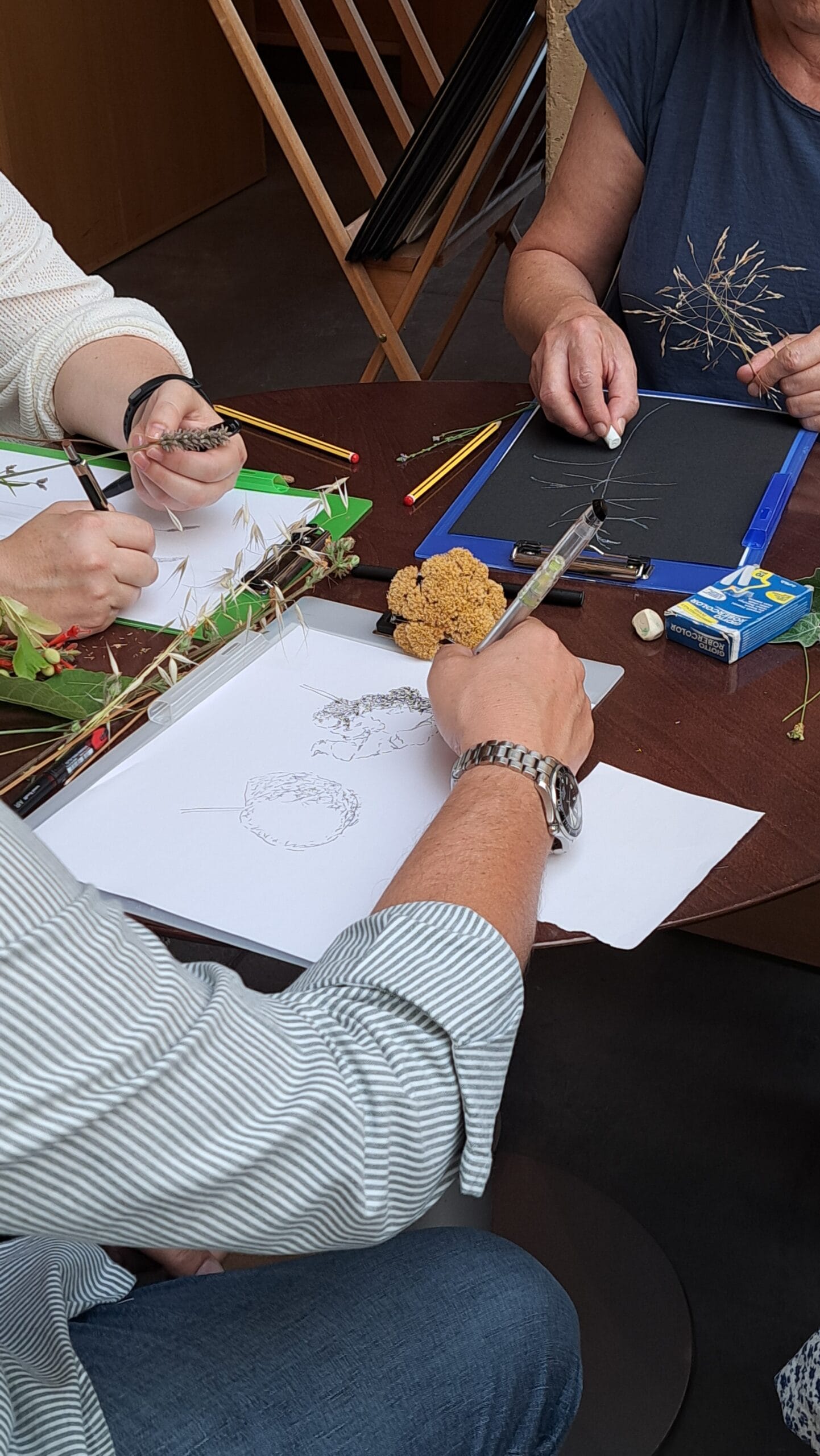 Visita dibujada a traves del arte y la naturaleza