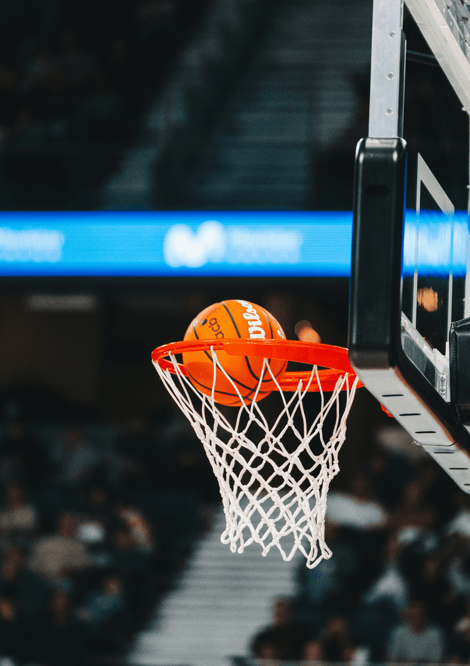 Movistar Estudiantes vs. Inveready Askatuak Gipuzkoa - Jornada 3 Primera FEB 26/27