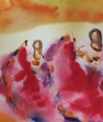 Presentaci贸n de libros Colecci贸n Ra铆ces y Sue帽os de San Isidro n潞 5 y 6